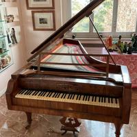 Simon Homolak, Pianoforte a Coda – XIX Secolo