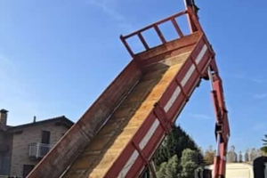 DAF 260-320 rib trilaterale 3assi+gru Revisionato