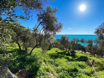 TER. AGRICOLO A CIPRESSA