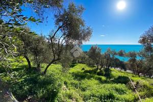 TER. AGRICOLO A CIPRESSA