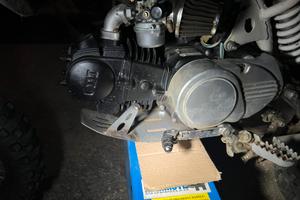 Blocco motore pit bike 125