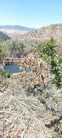 Terreno in Contrada Giardinaccio