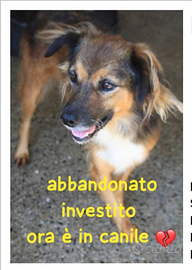 Simon 4 anni taglia media piccola