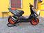 Immagine 1