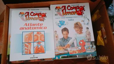 Esplorando il  corpo umano