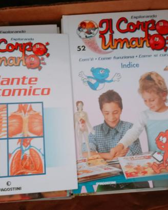 Esplorando il  corpo umano