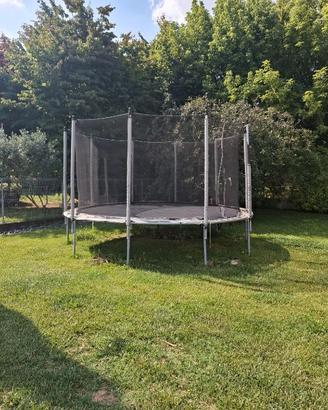 Saltarello da giardino