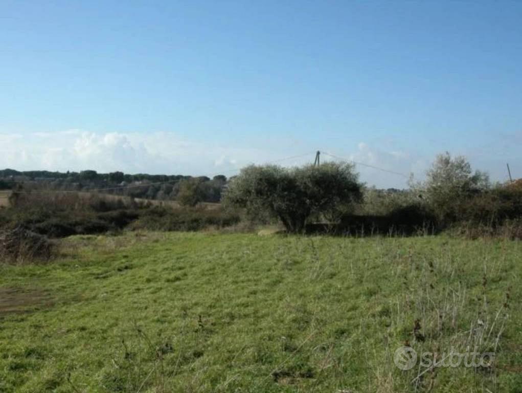 Immobile in asta di 6756 m² a Marino - Altro