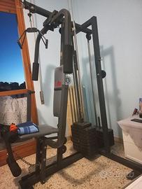 palestra