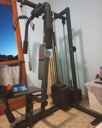 palestra
