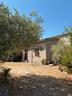 cheriga-minori-indipendente-con-1500-mq-terreno