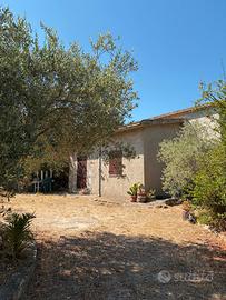 Cheriga Minori indipendente con 1500 mq. terreno