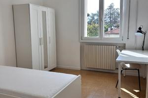 Camera singola SOLO STUDENTI