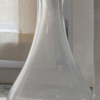 2 bottiglie in vetro nuove