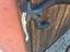 Immagine 4