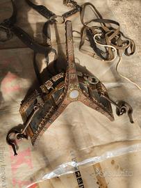 Antichi Finimenti attrezzature per asino