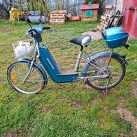 bici elettrica robottini