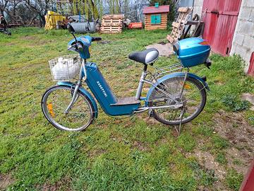bici elettrica robottini