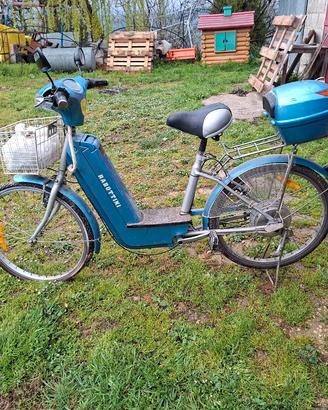 bici elettrica robottini