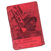 TESSERA MILITARE FASCIO COMBATTIMENTO BORGHETTO 23