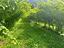 Immagine 17