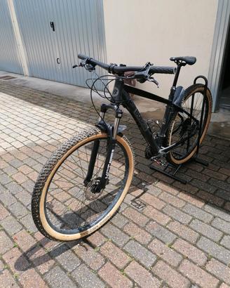 MTB 29