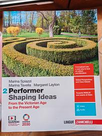 Performer Shaping Ideas 2 