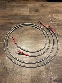 Cavo hi-fi belden bi-wiring perfetto con b&w