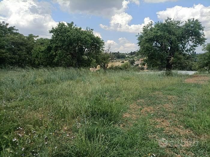 Rif.3650TG16324| terreno agricolo caltanissetta - Vista 3