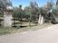 Immagine 14