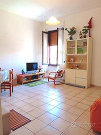 Appartamento Bilocale Ampio