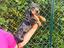 Immagine 4