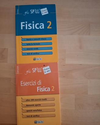gli spilli fisica 2