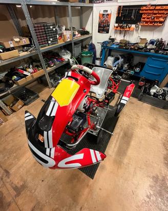 RS Kart 2026 categoria Mini GR3