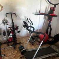 Palestra completa