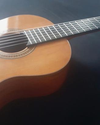 Chitarra cassica di liueria