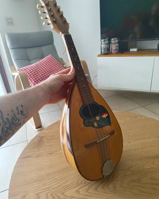 Mandolino vintage Rollins anni 50/60 