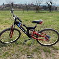 Bici per ragazzi