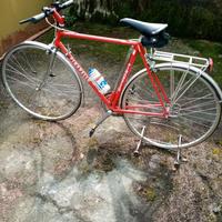 Bici sportiva Pinarello