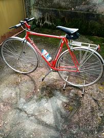 Bici sportiva Pinarello