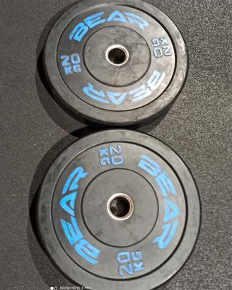 coppia dischi bumper 20kg 