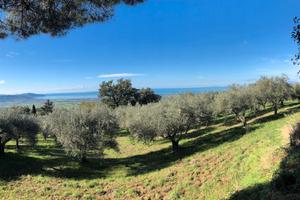 Terreno di 12.000 mq. ad uso ricettivo