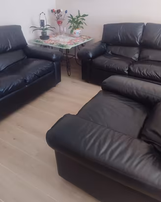 Set composto da 2 divani e 1 poltrona in pelle