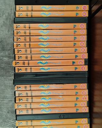 Teletubbies Collezione DVD 1-30 (manca 