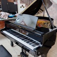 pianoforte a coda 172 cm