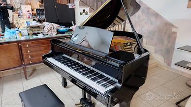 pianoforte a coda 172 cm