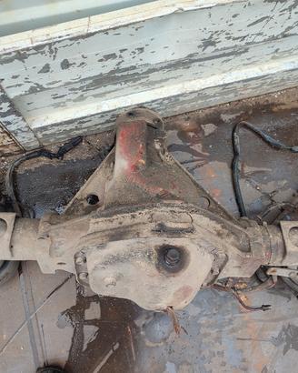 Ponte posteriore differenziale Iveco Daily 