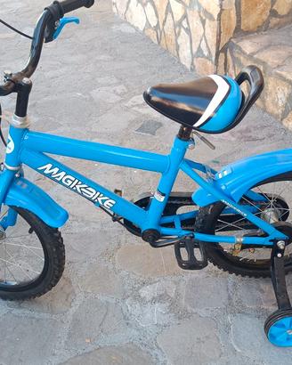 Bicicletta