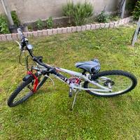 MTB Ruota da 24 pollici