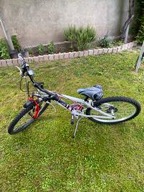 MTB Ruota da 24 pollici